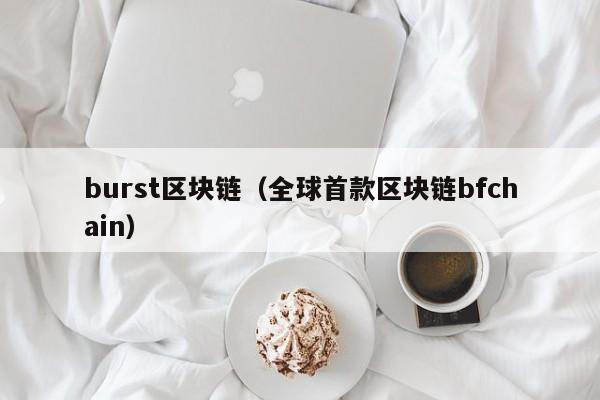 burst区块链(全球首款区块链bfchain)