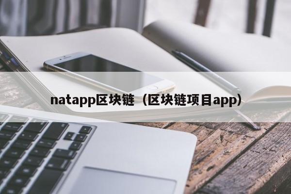 natapp区块链(区块链项目app)